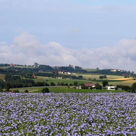 Ferienhof Neundlinger Niederwaldkirchen المظهر الخارجي الصورة